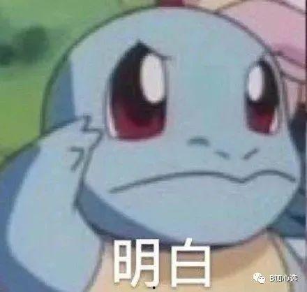 杰尼龟爆料视频,揭秘背后故事与幕后真相